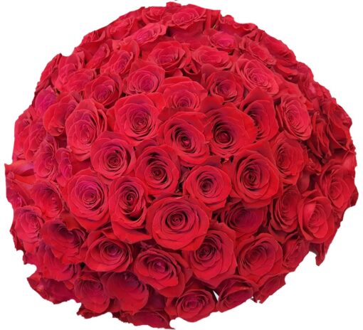 100 rose rosse bouquet