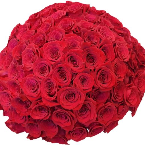 100 rose rosse bouquet