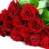 Fascio 24 rose rosse a stelo lungo