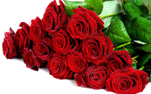 Mazzo di rose rosse - Milan Red Roses delivery