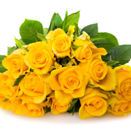 Mazzo di rose gialle - Milan Yellow Roses delivery