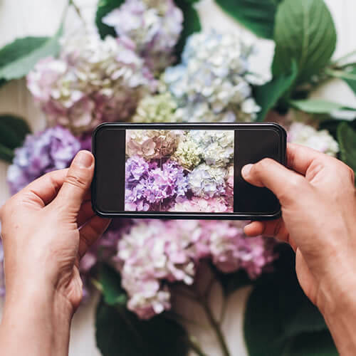 Fiorillusion - Consegna di Rose e Bouquet di Fiori a Milano