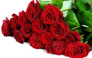 Bouquet di rose rosse Vip