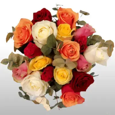 Treviso bouquet di rose a stelo corto colori misti