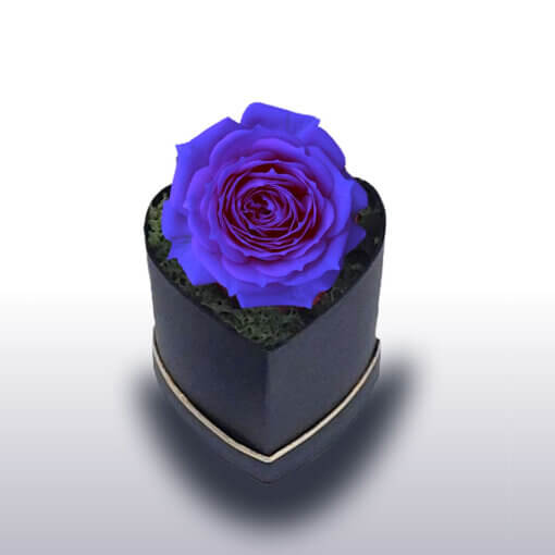 Rose blu - Consegna fiori a domicilio a Milano Flower Delivery