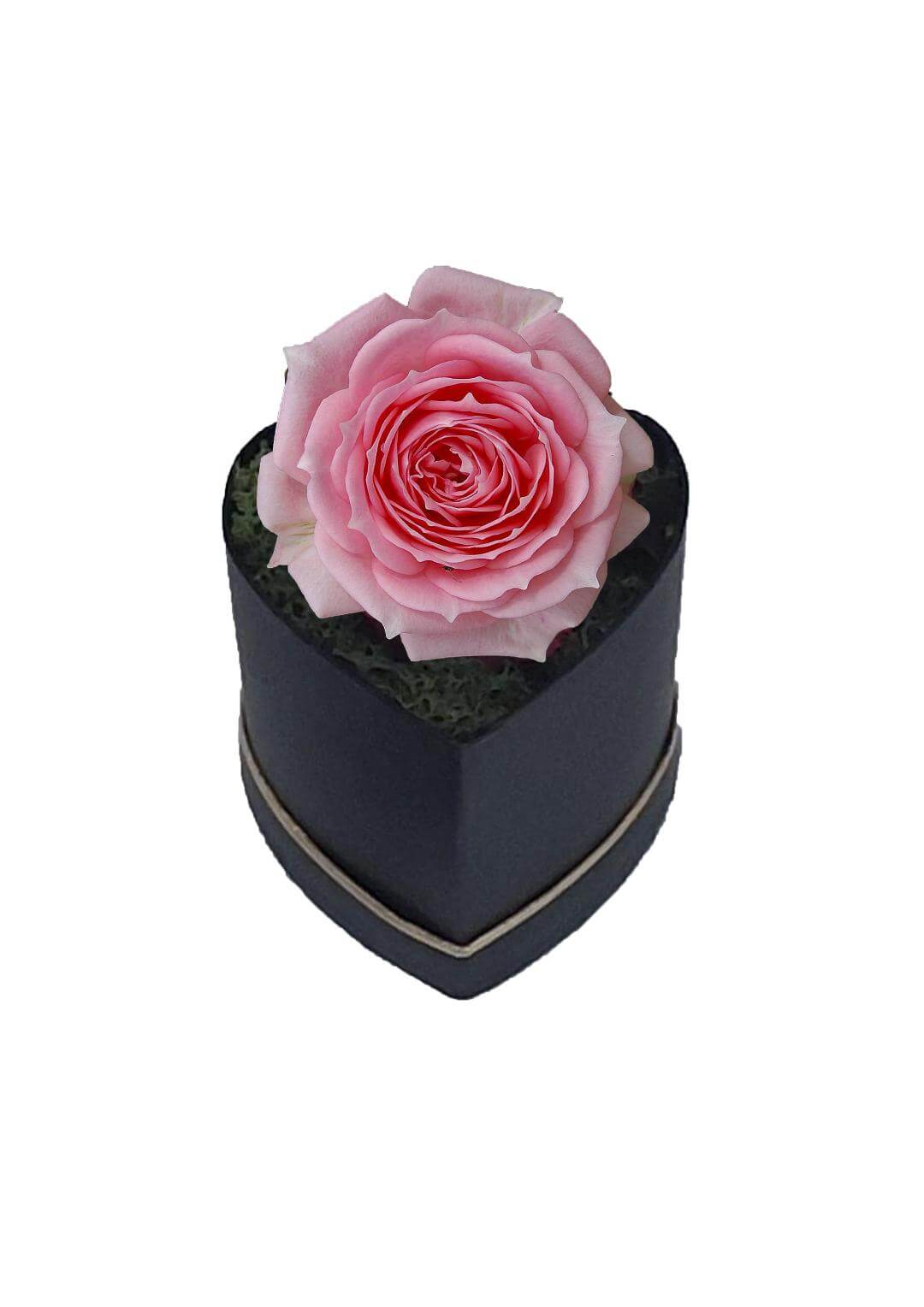 Rosa Eterna Con Collana Argento 925 - Regalo Festa Della Mamma, Cofanetto Elegante - Foto 3