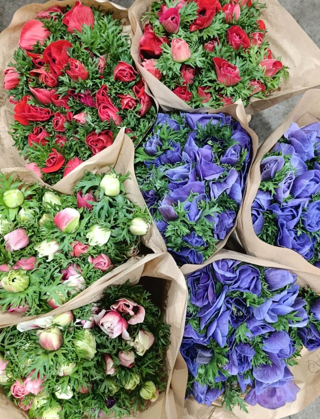 Bouquet di anemoni italiani per consegna veloce a Milano